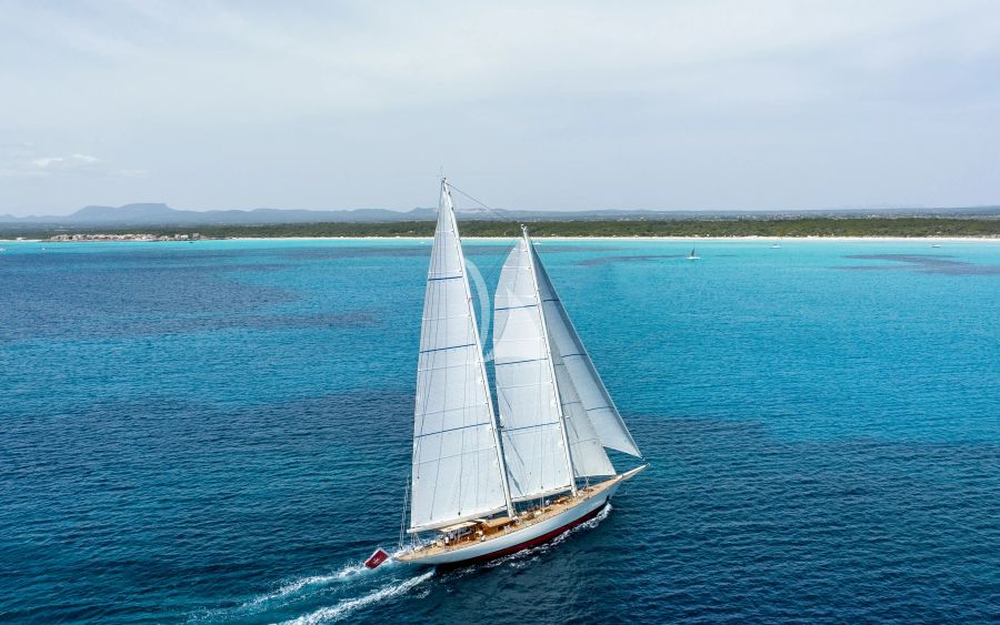 WINDROSE OF AMSTERDAM