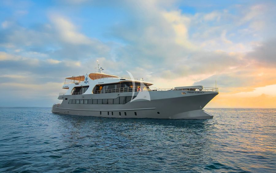 TRIBUTE - FREDDY'S LEGACY